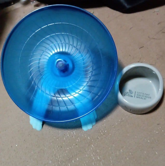 小動物用品
