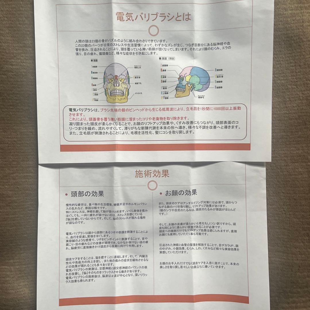 ボディ・フェイスケア ELECTRON EVERYONE ELECTRIC BARI BRUSH