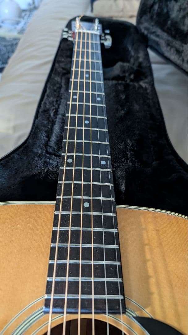 Morris F-15 1975年製 ジャパンヴィンテージ