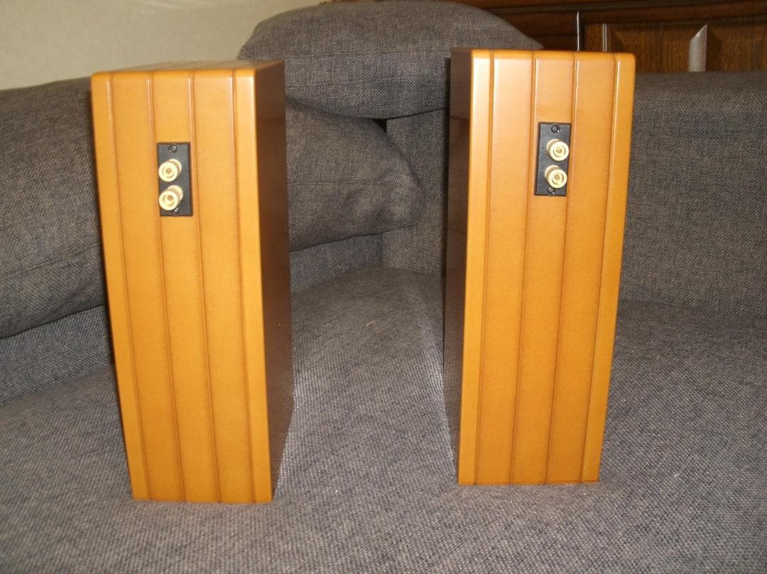 再再値下げ　バックロードホーン　ハセヒロ