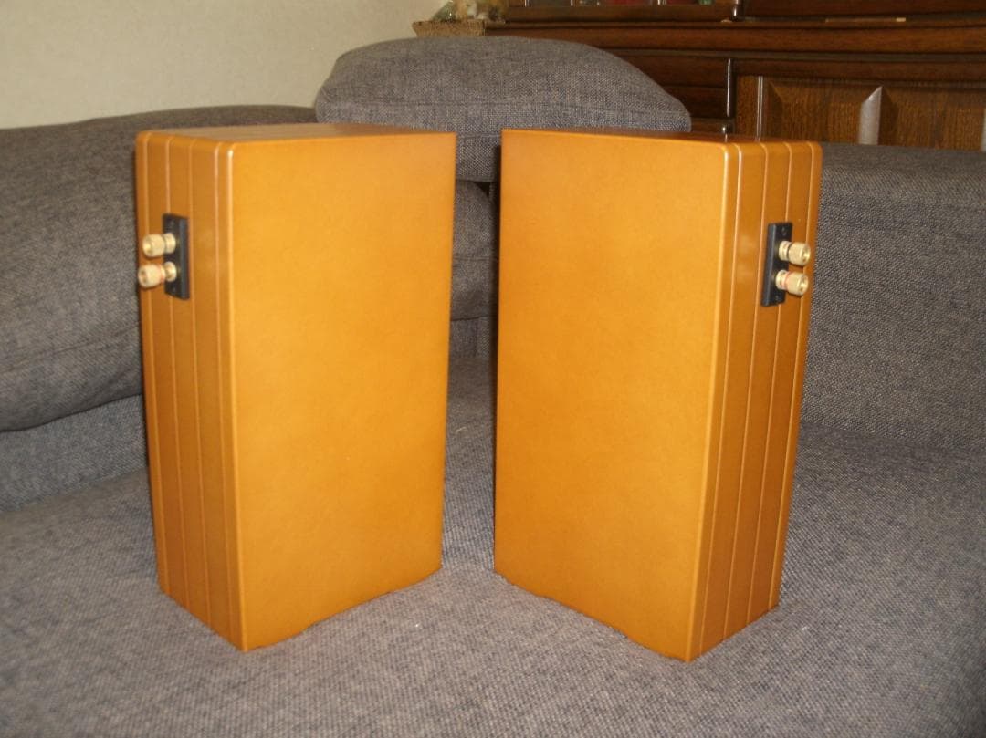 再再値下げ　バックロードホーン　ハセヒロ