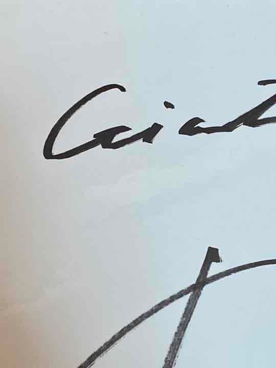 早い者勝ち！ 重信慎之介選手 直筆サイン色紙 読売ジャイアンツ