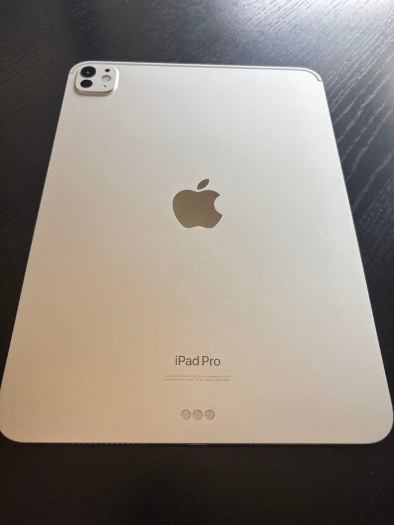 極美品！ iPad Pro11 M4 256GB+Pencil Pro 充電4回