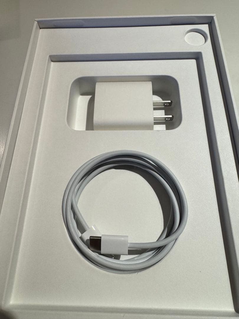 iPad mini 6 256GB セルラー