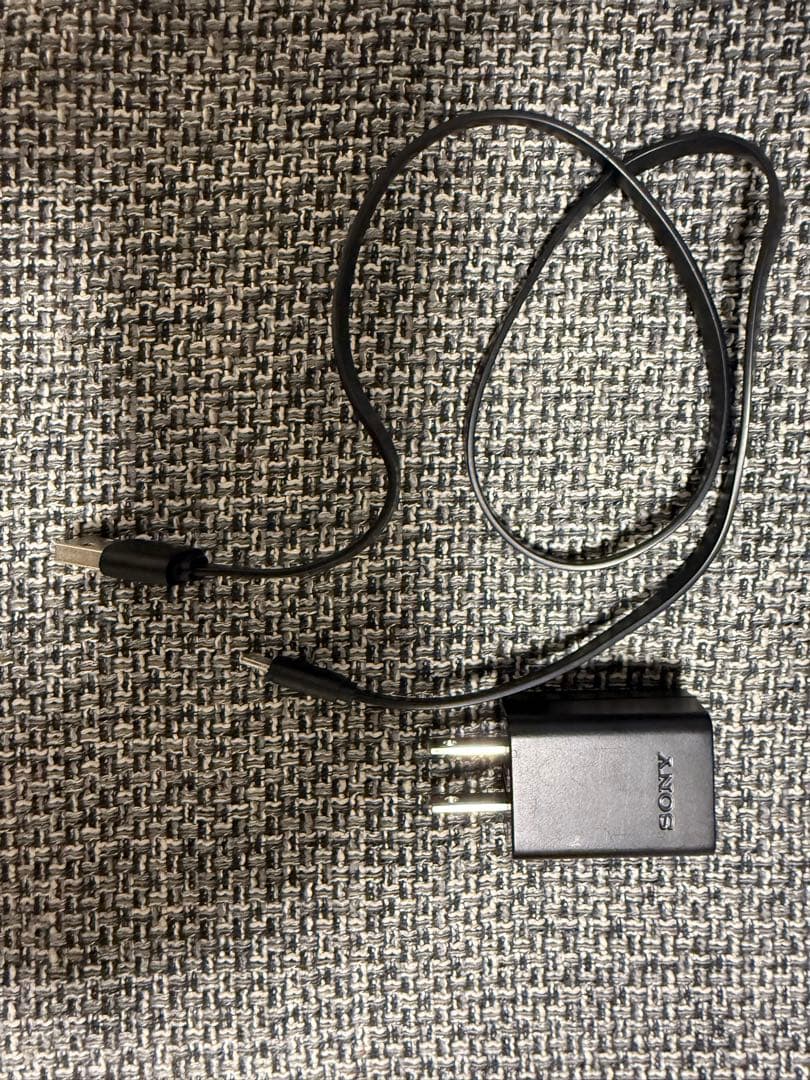 SONY α6100 4K Eマウントカメラ　ソニー