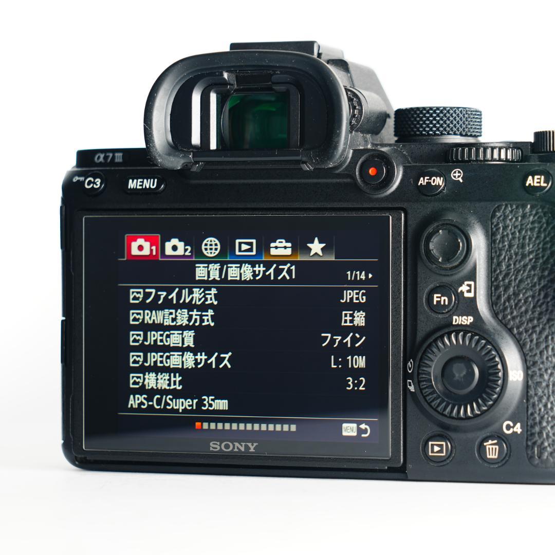 【完全セット】α7III美品！コスパ最高ミラーレス すぐ撮影可能 000