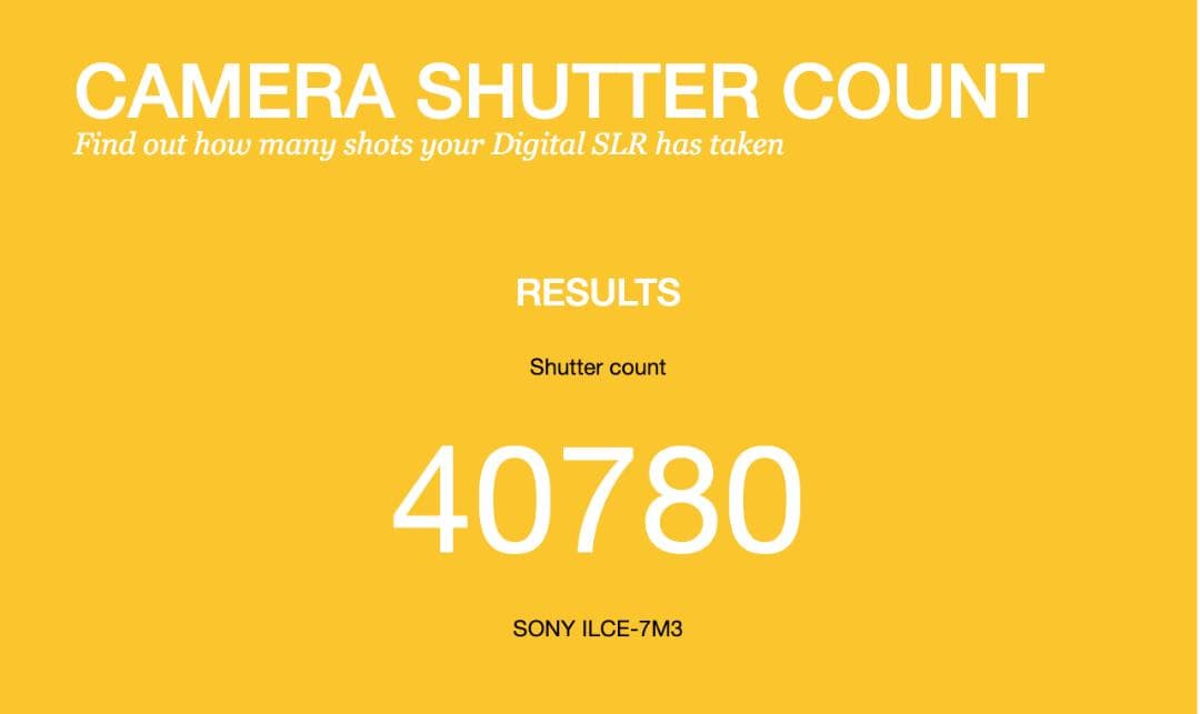 【完全セット】α7III美品！コスパ最高ミラーレス すぐ撮影可能 000