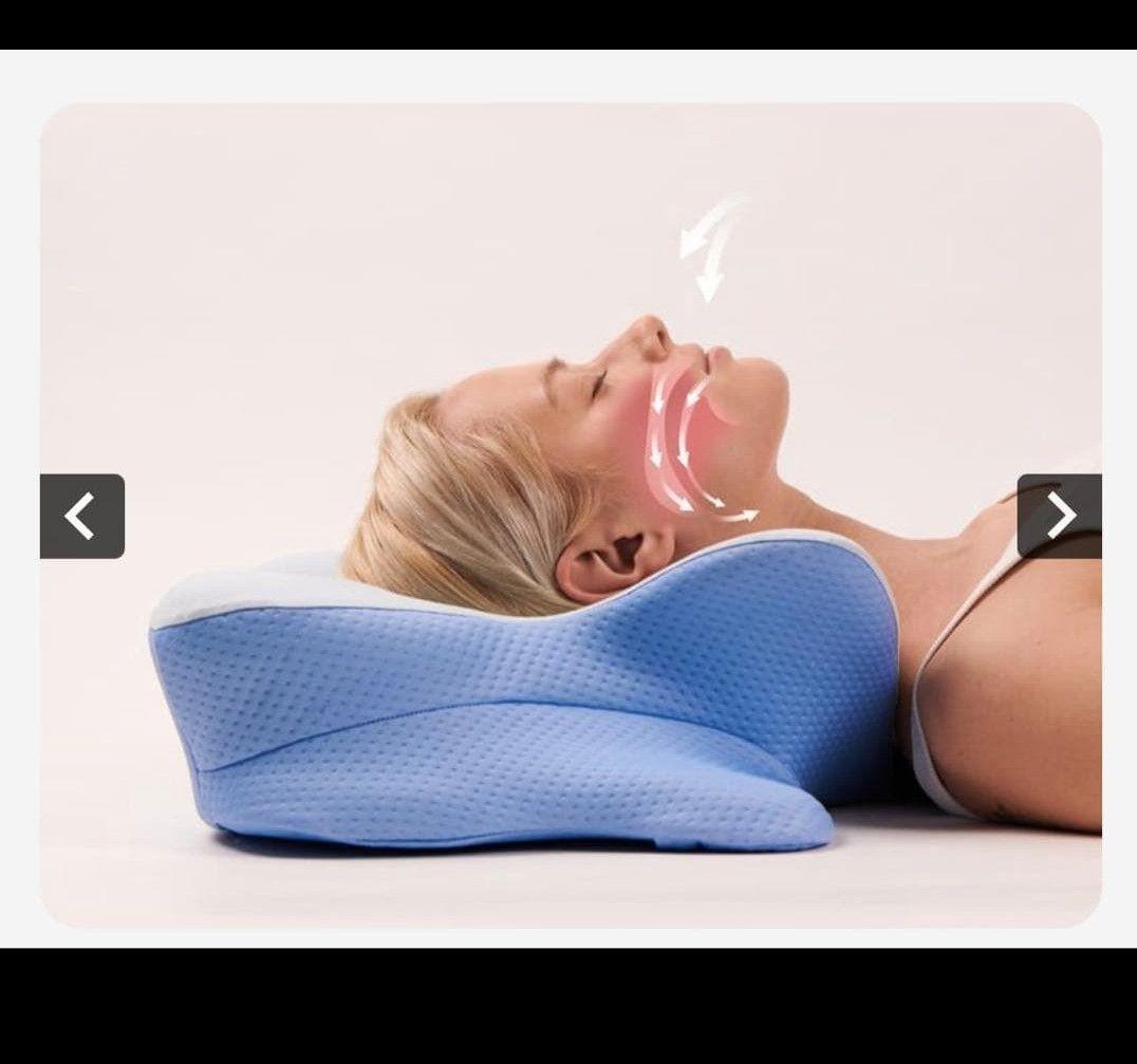 Derila デリラ　エルゴ　枕　ピロー　ドイツ製