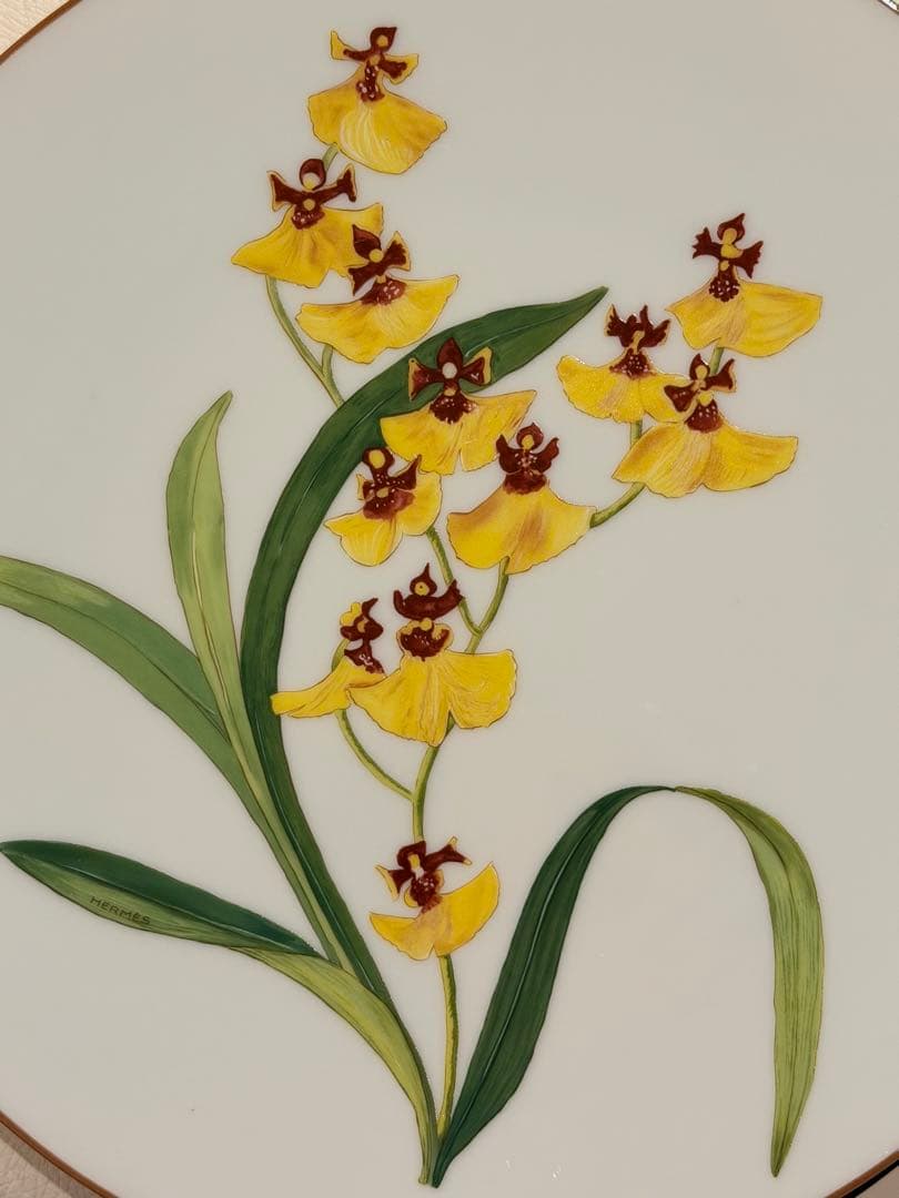 HERMES エルメス オルキデ プレート 26cm 2枚セット