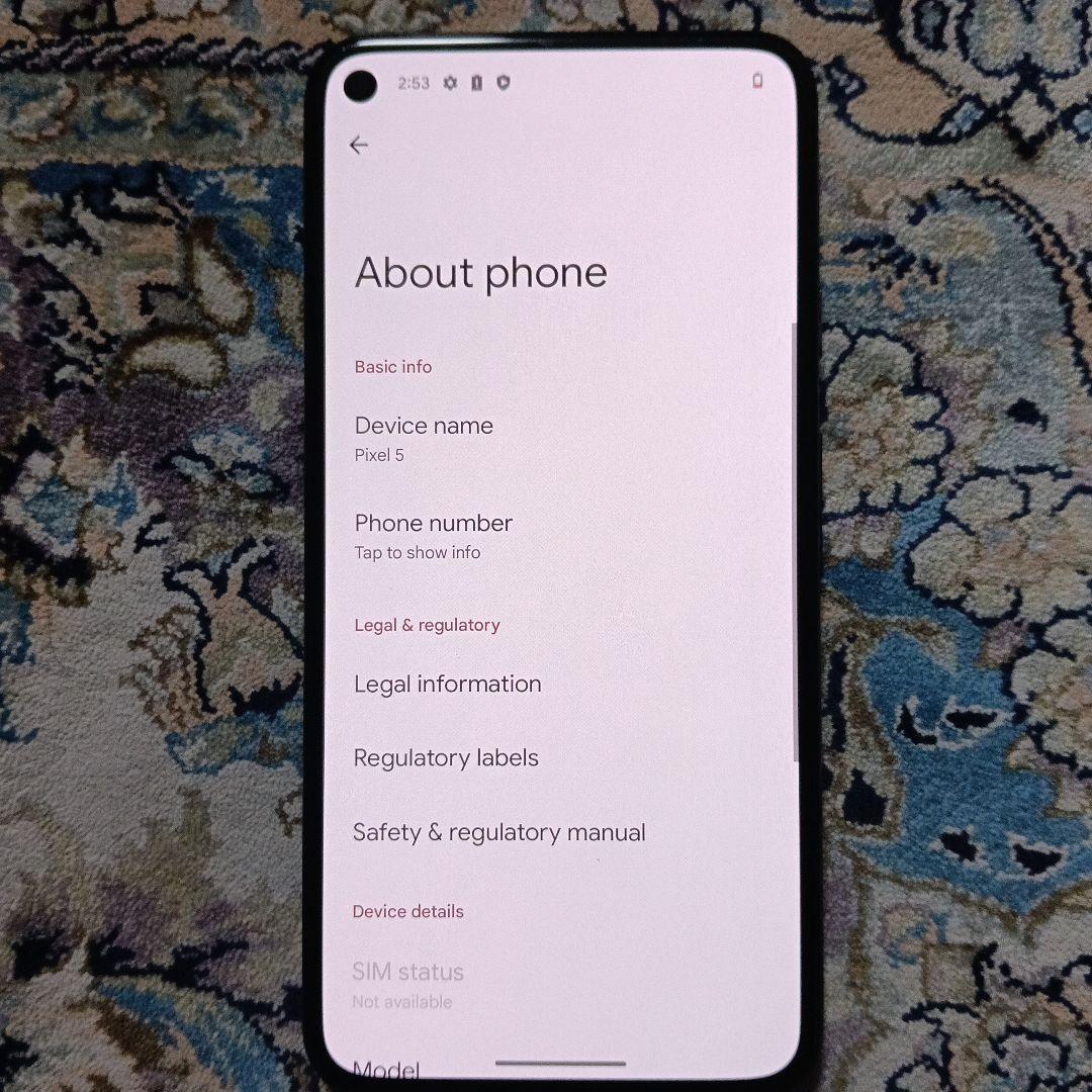 Google Pixel 5 本体