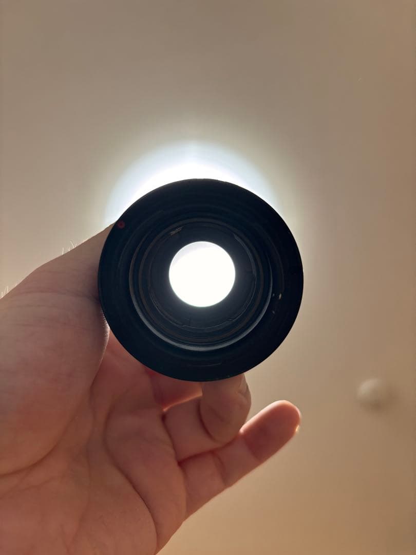 leica summer ズマール50mm f2