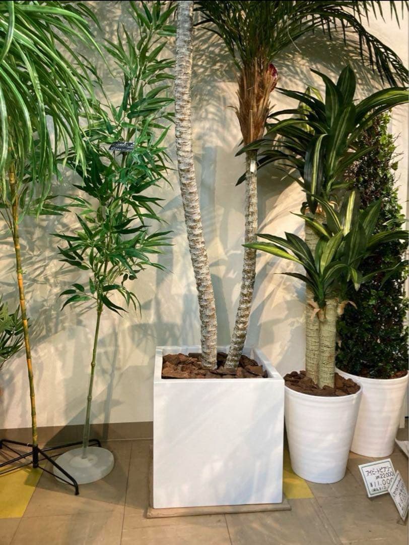 光触媒　人工観葉植物　フェイクグリーン　フェニックス パーム2本立