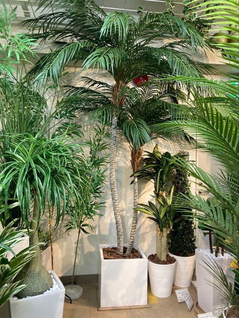 光触媒　人工観葉植物　フェイクグリーン　フェニックス パーム2本立