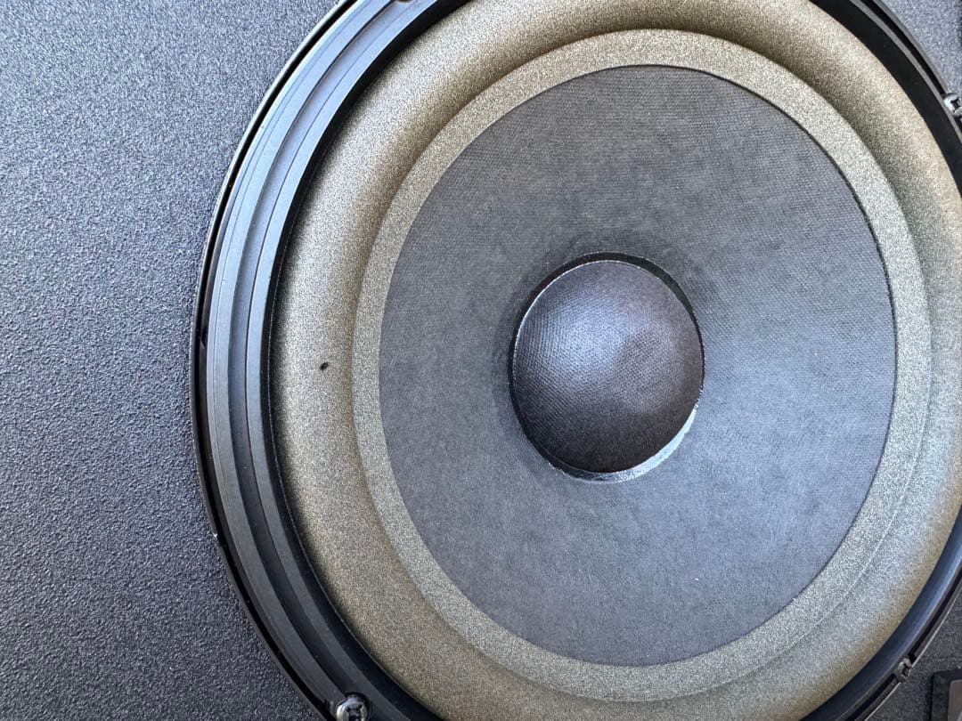 BOSE 301AVモニター スピーカー（Lのみ）