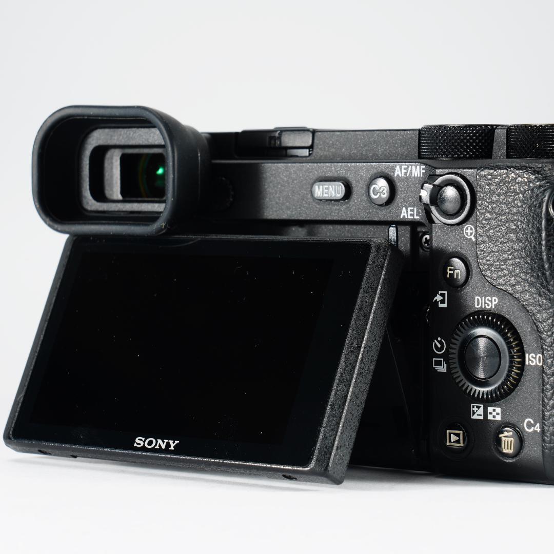 あきのもみじ SONY α6600 ミラーレス