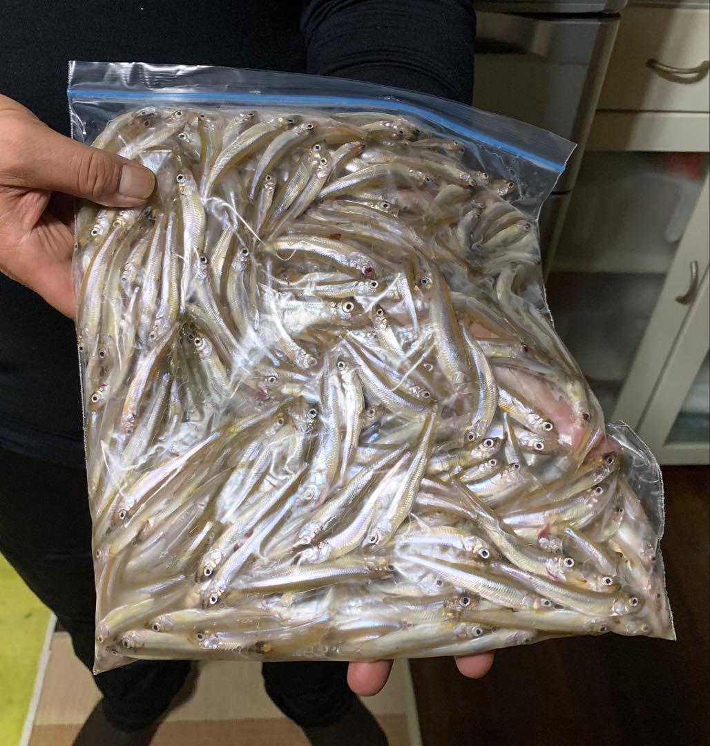 ワカサギステンレス穂先　 300ミリ　　２本