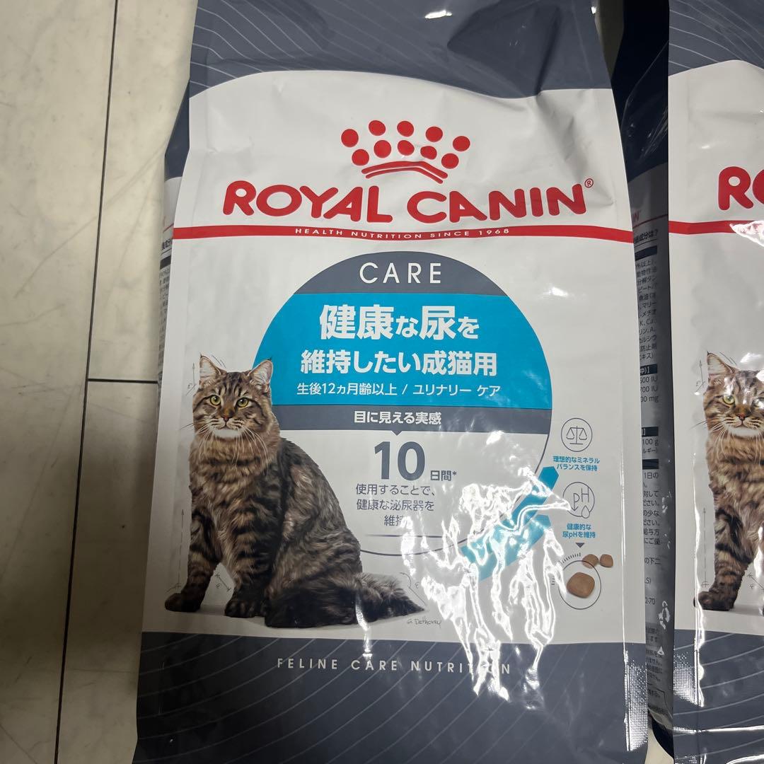 CANIN健康な尿を維持したい猫用4kg賞味期限2026年11月23日