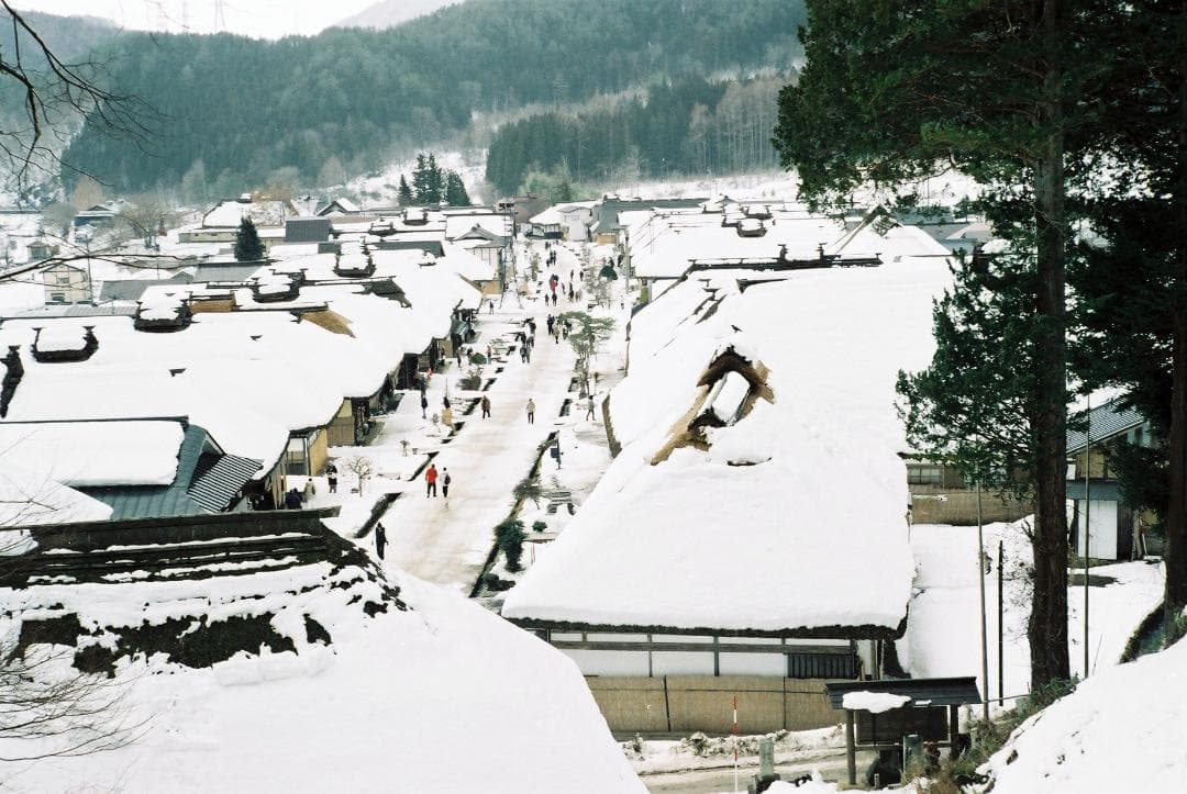 キャノンⅡF〈E・P〉／キャノン50mmf2.8ゼブラ付【実写確認整備品】