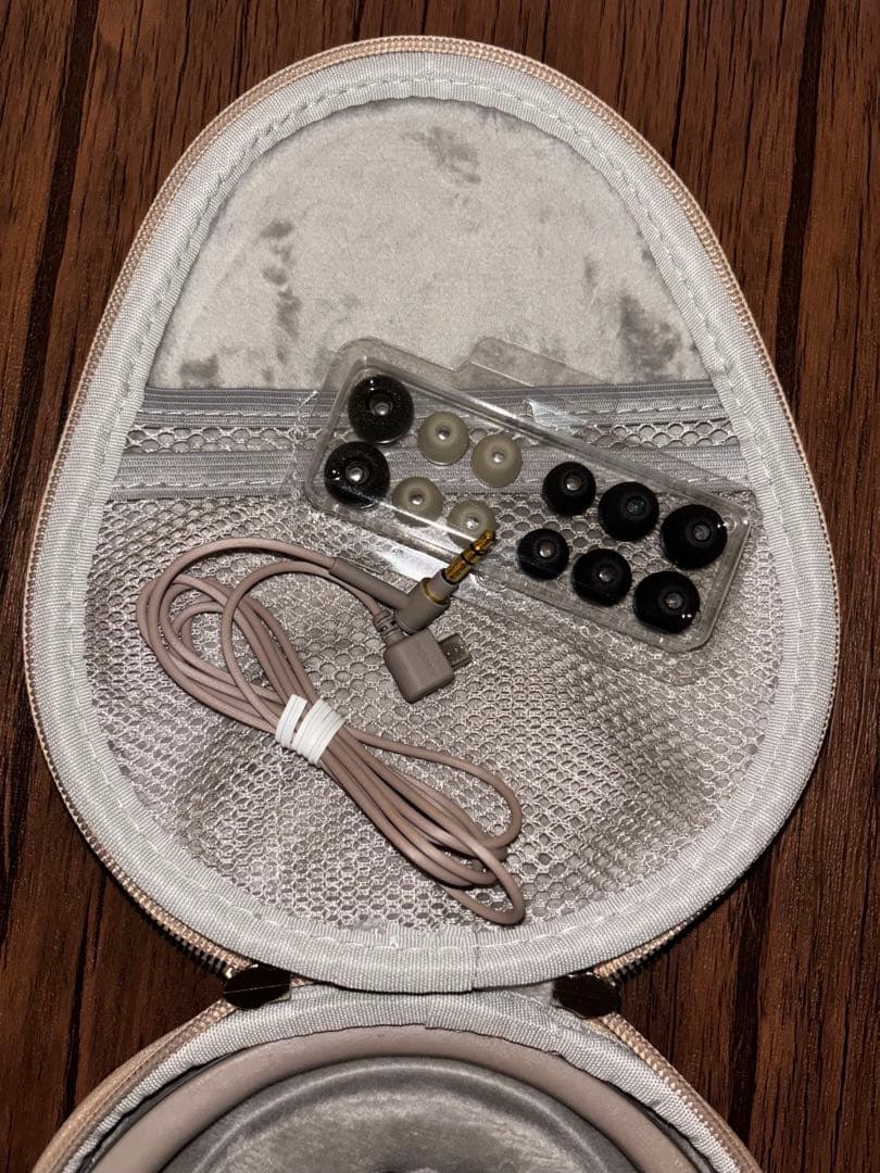 SONY WI-1000X シャンパンゴールド