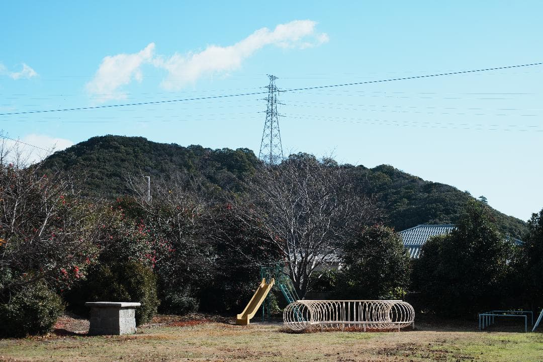 【傑作レンズ】動作◎ Canon New FD 50mm F1.4 019