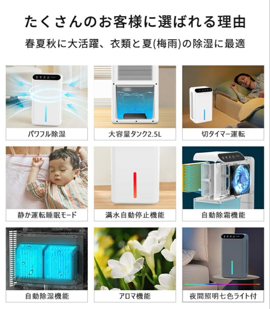除湿機 ペルチェ式 除湿器 1000ml/日 空気清浄 ホワイト日本語説明書付