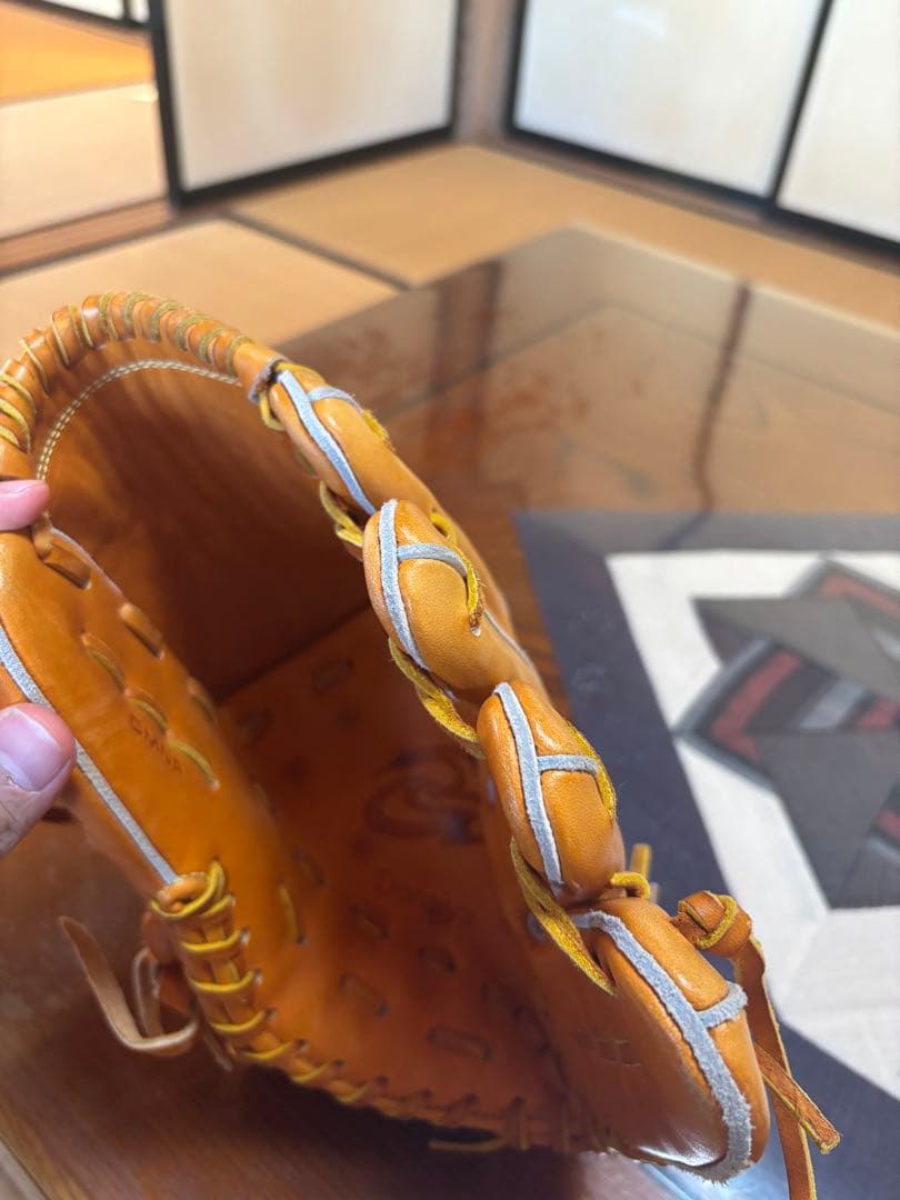 ドナイヤ　投手用グローブ