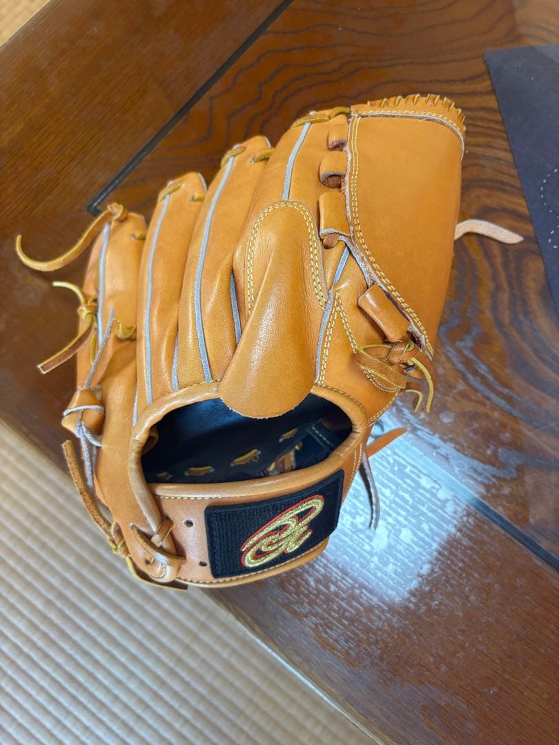 ドナイヤ　投手用グローブ