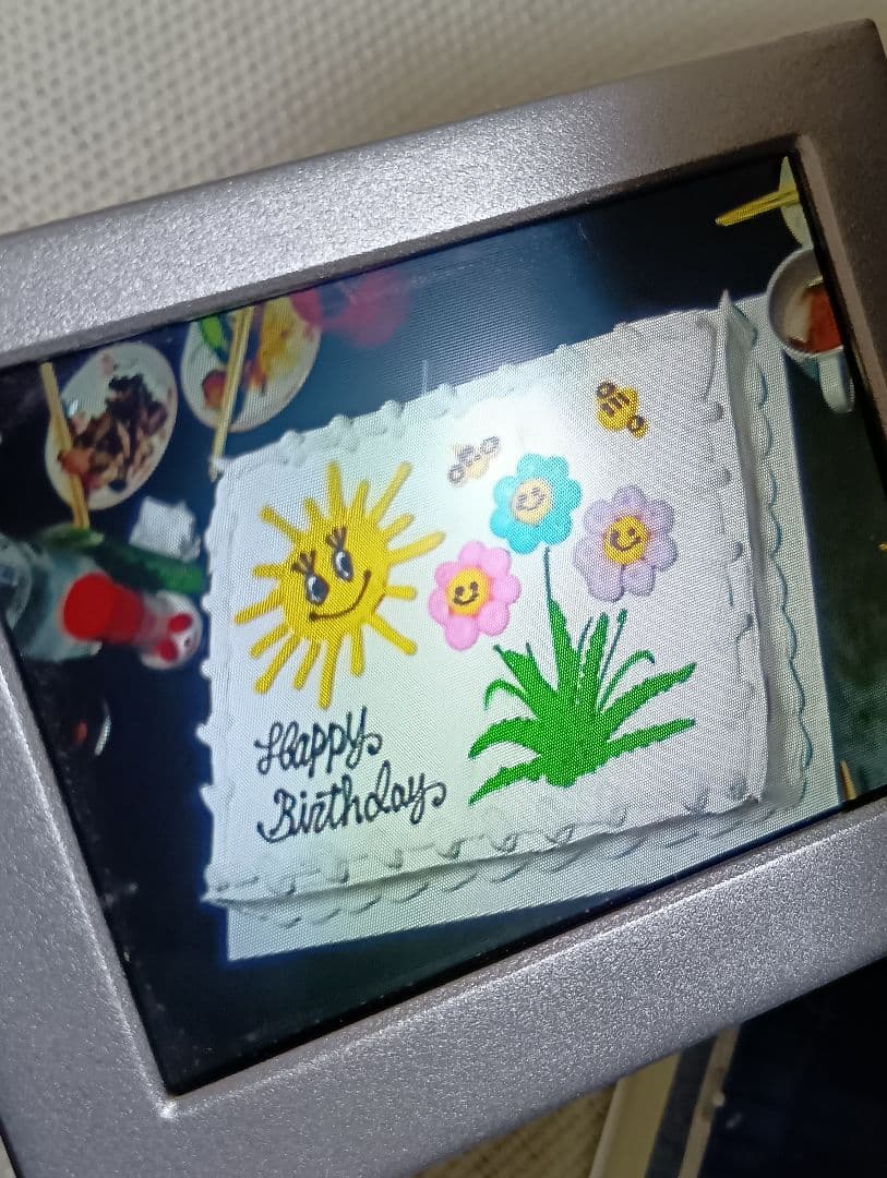 ソニー デジタルビデオカメラ SONY DCR-PC120