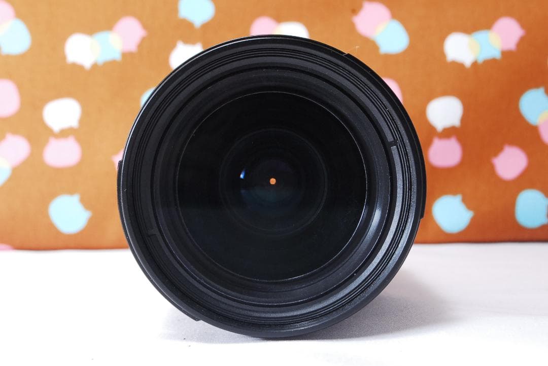 ✨ショット数4601回✨届いてすぐ使える✨Nikon D70s レンズセット