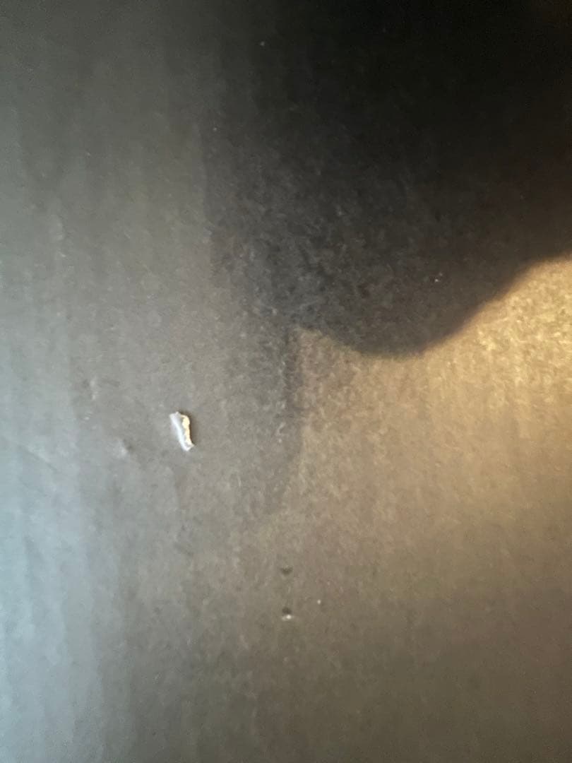 ダイソン Dyson DC26 TH ENT MO