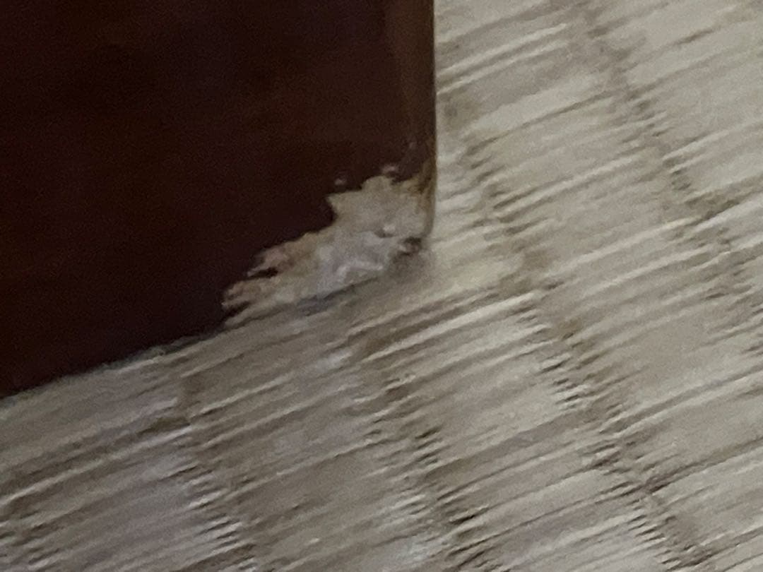 座卓　ローテーブル　＜引き取りも可＞