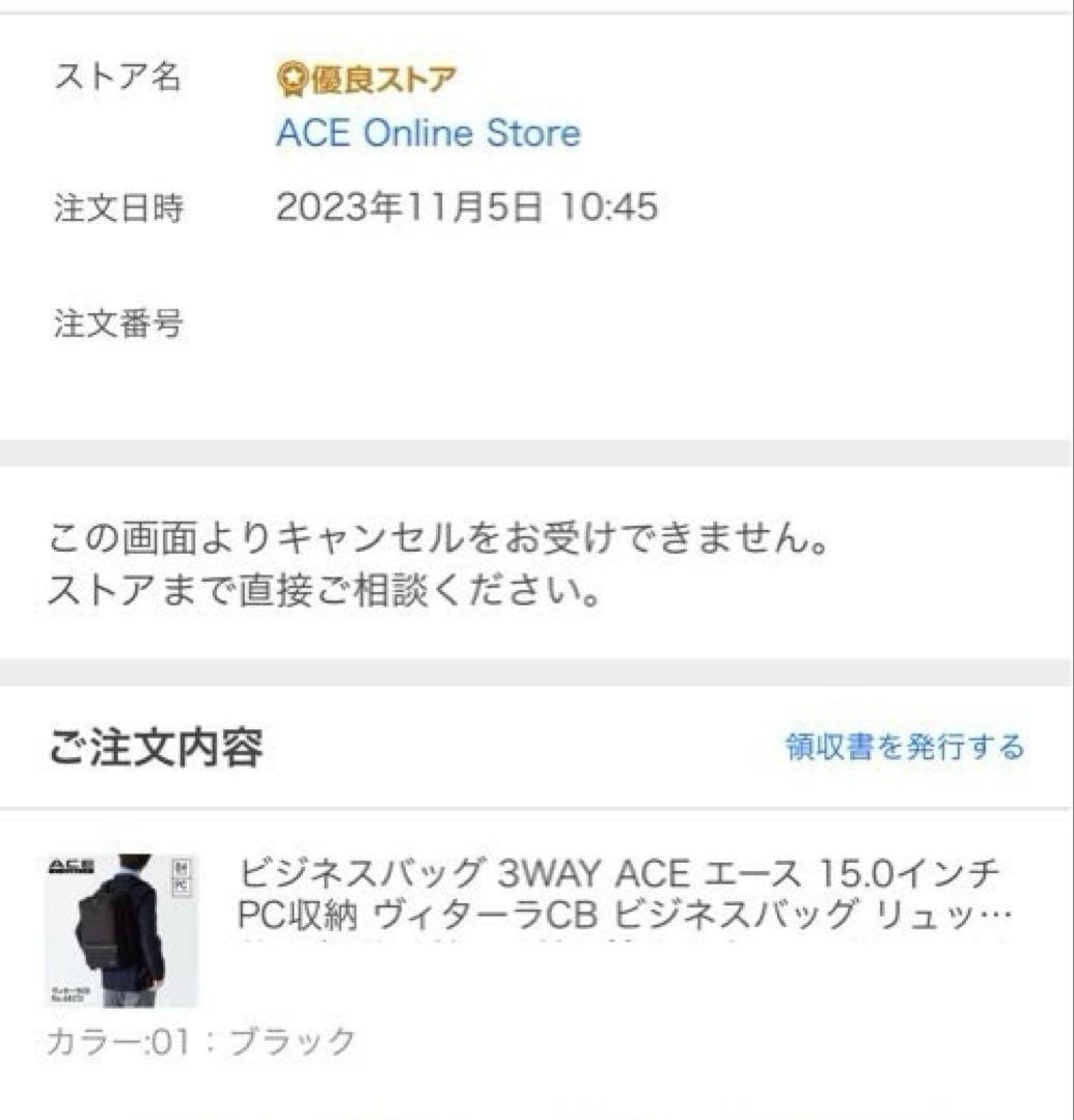 【未使用品】WEB限定 aceヴィターラコーデュラバリスティック B4サイズ