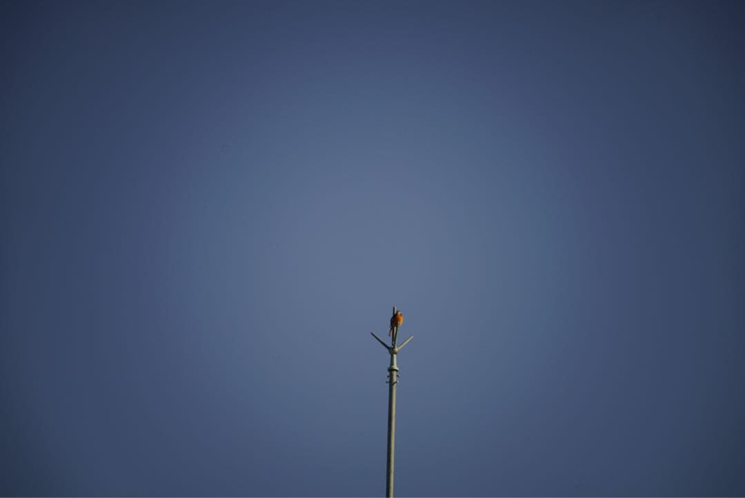 ニコンミラーレンズ500 F8