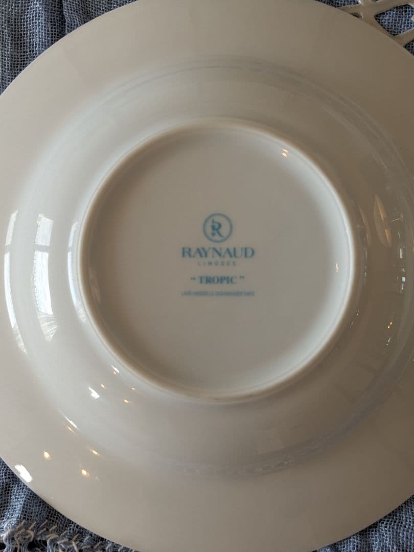 フランス製レイノー社Tropicシリーズ　スープ皿4枚セット
