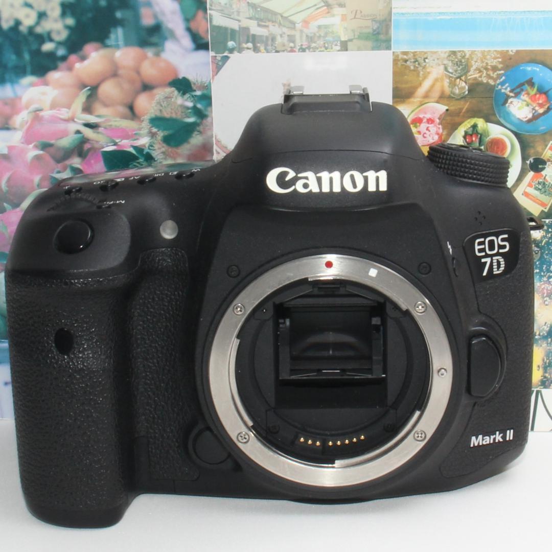 ❤️予備バッテリー付❤️Canon EOS 7D Mark II USMレンズ