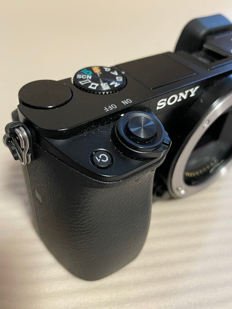 SONY α6000 ILCE-6000 動作確認済【総ショット数1557】