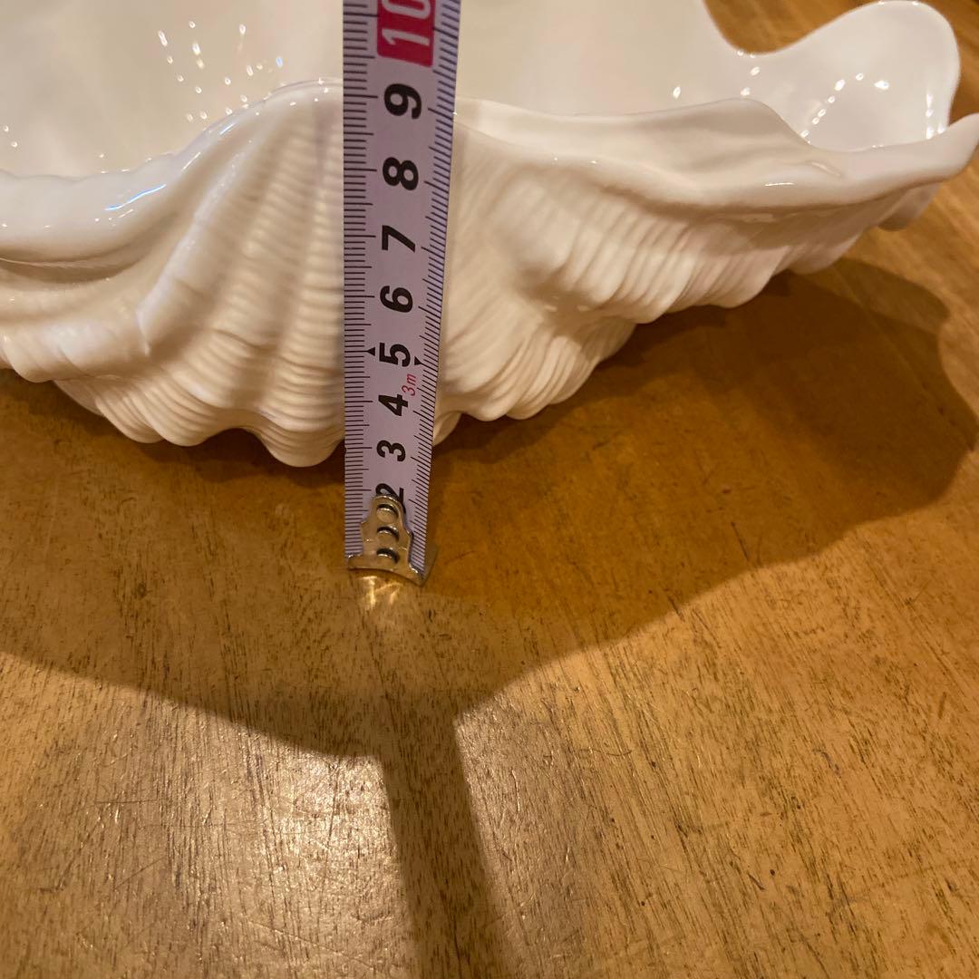  ウェッジウッド シェルプレート プレート