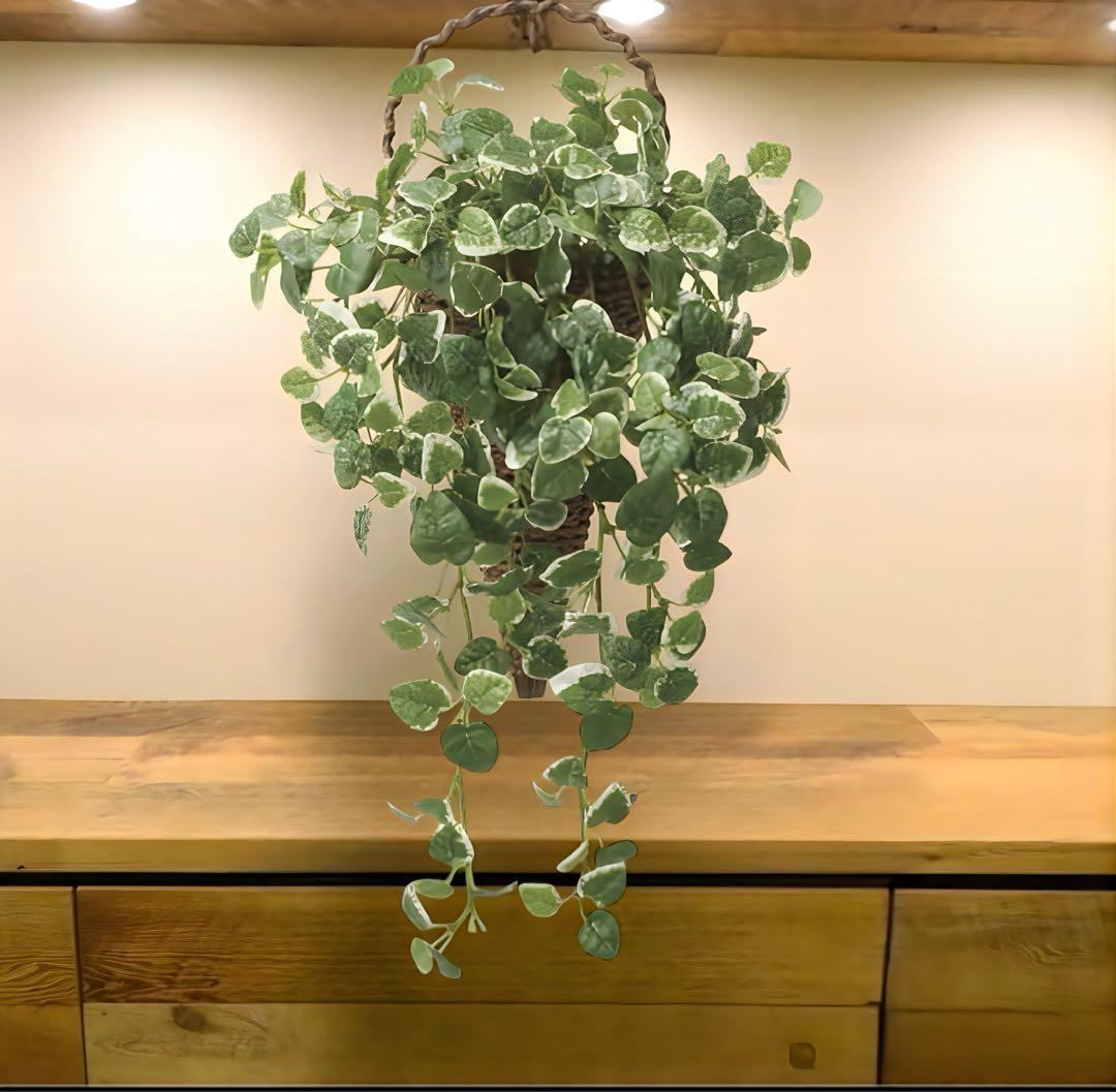 光触媒　人工観葉植物　ウォールグリーン　フェイクグリーン　壁掛けプミラ