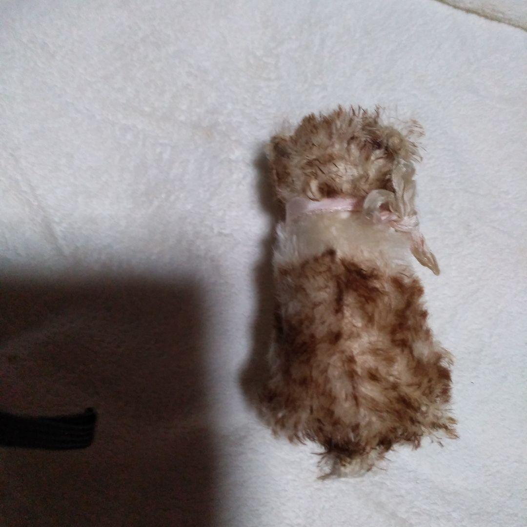 ビンテージシュタイフ・モリー犬のぬいぐるみ ベル付き