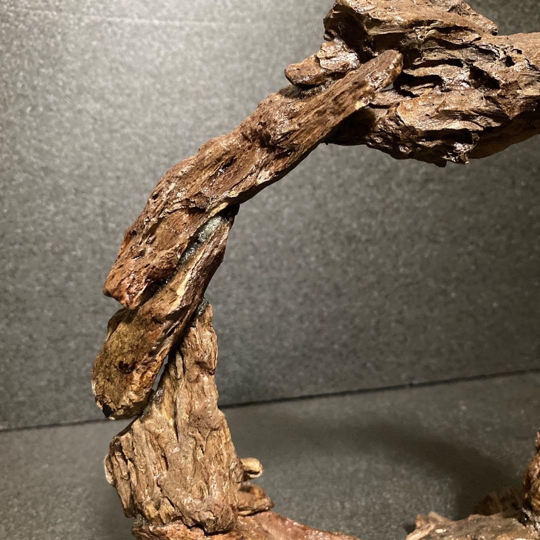 ◎気孔石 アート 一点もの インテリア 天然