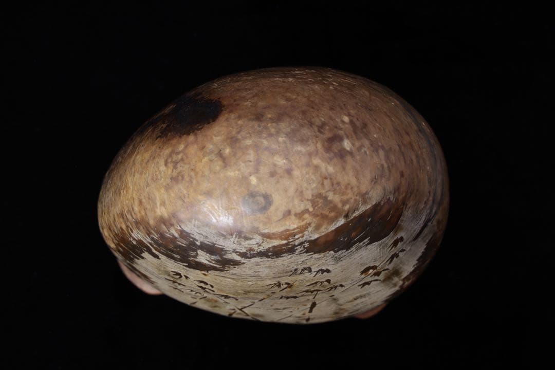 【希少・一点物】竹絵　水石 天然原石 鑑賞石 盆石 台座付　赤玉石　菊花石