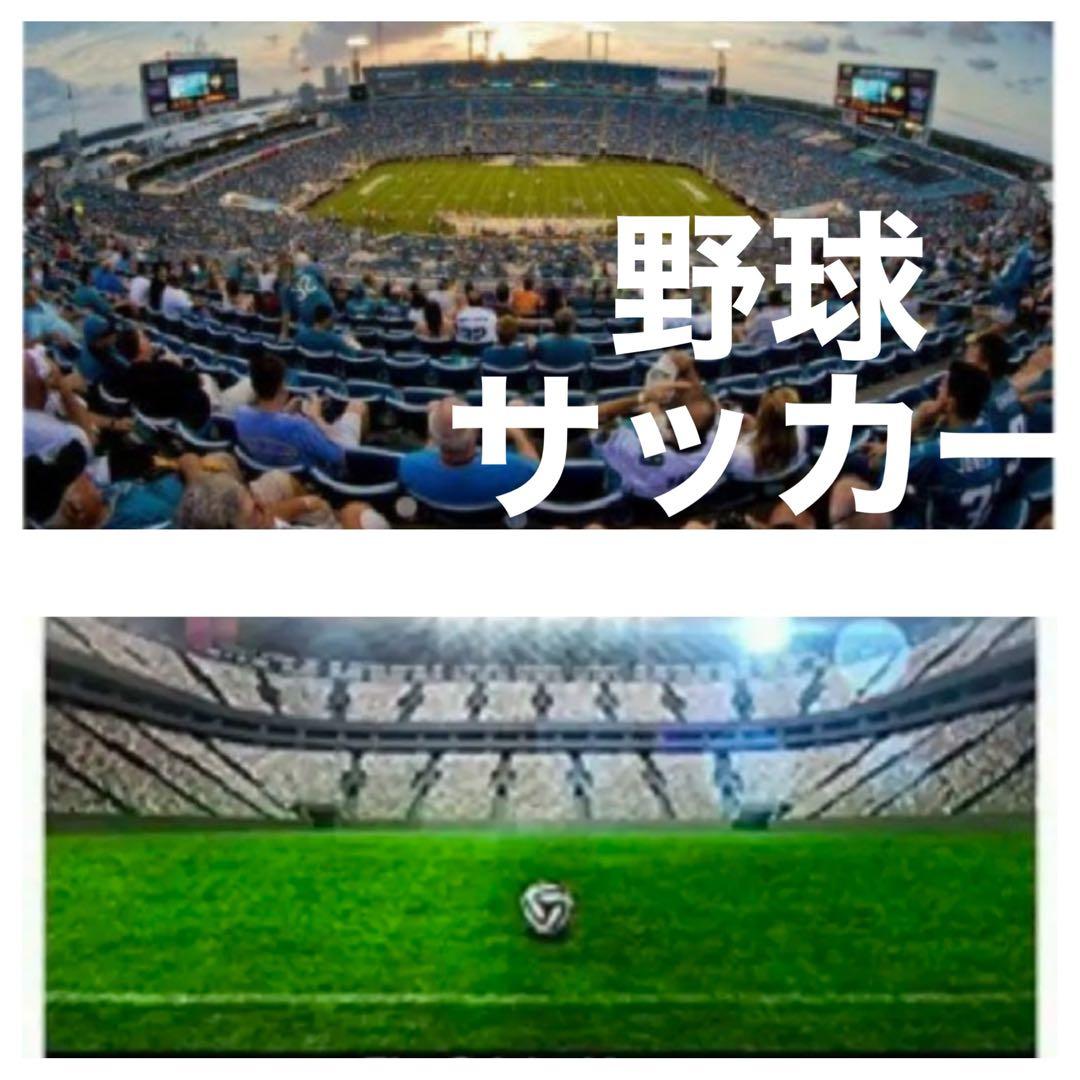 お早めに！Nikon Zに対応！ミラーレス用望遠レンズ！カメラ初心者サポート付き