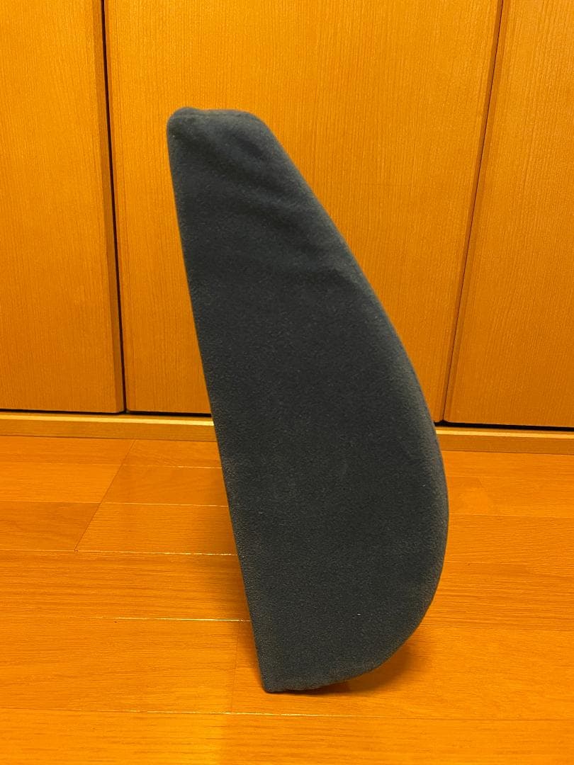 back huggar バックハガー　姿勢矯正　クッション　２点セット