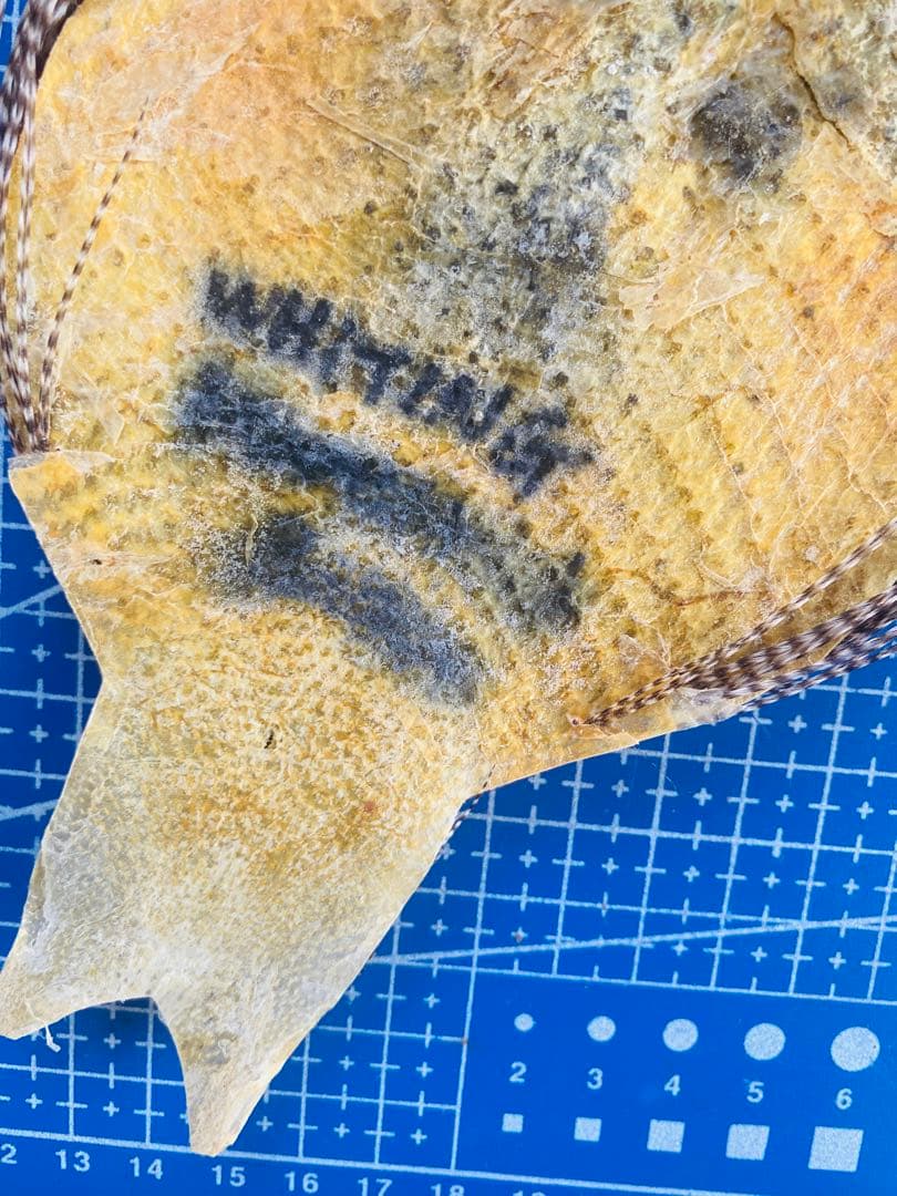 WHITING ハックル ホワイティング グリズリーフライフライマテリアル