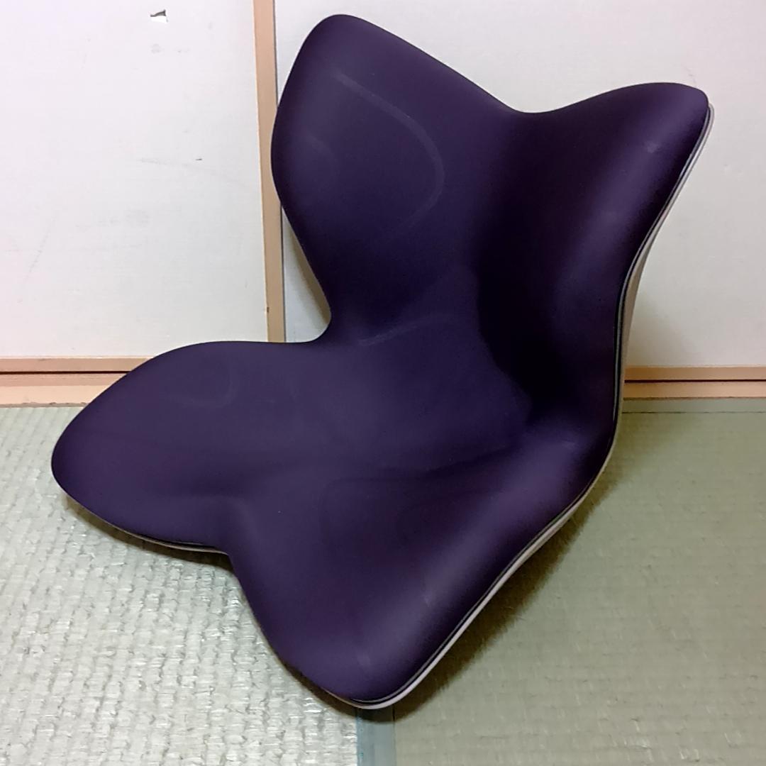 MTG Style PREMIUM スタイルプレミアム　姿勢矯正チェア　取説付き