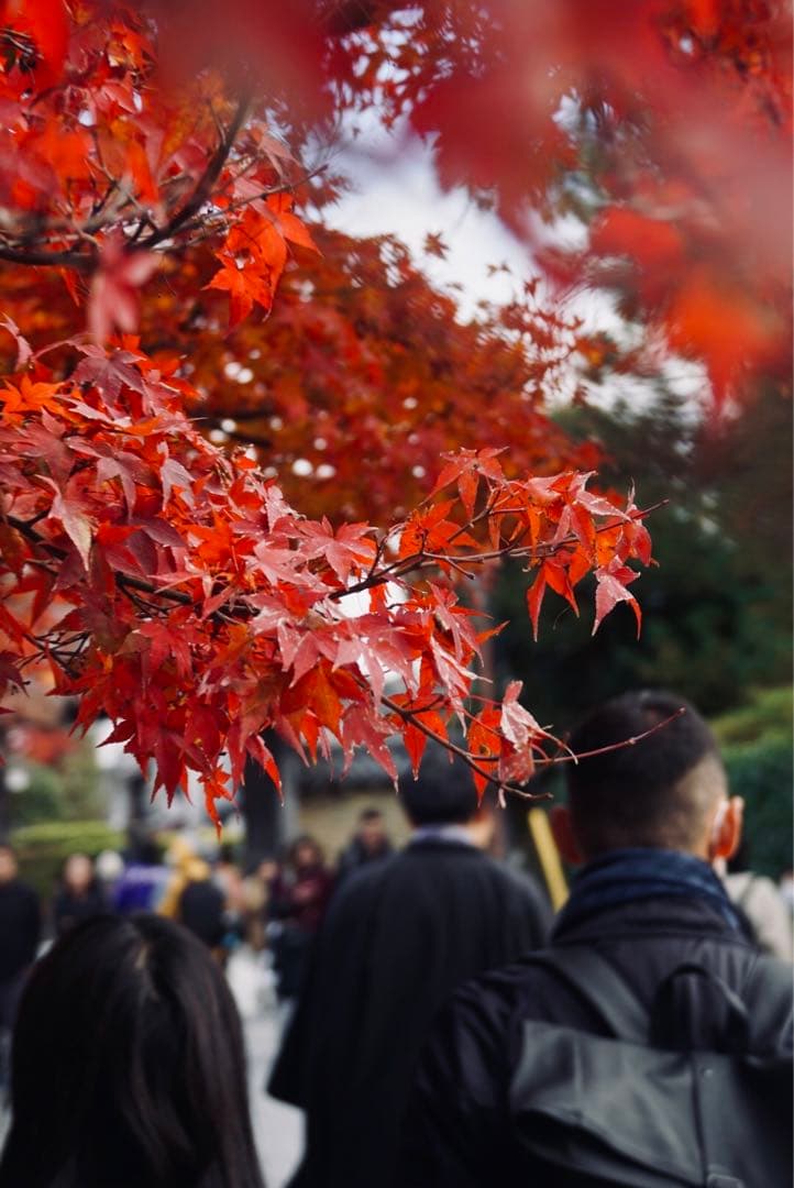 SONY α6000 ミラーレス一眼 E 18-200mm SEL18200