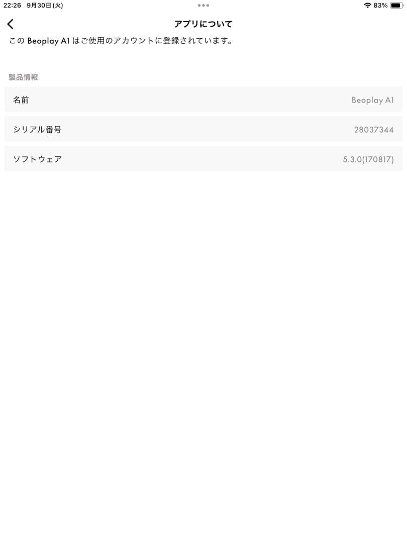 B&O バングアンドオルフセン　Beoplay A1 2個セットケーブル付き