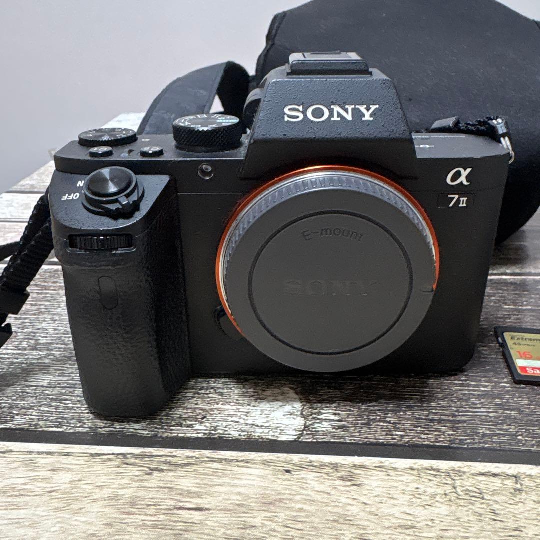 SONY ソニー α7Ⅱ