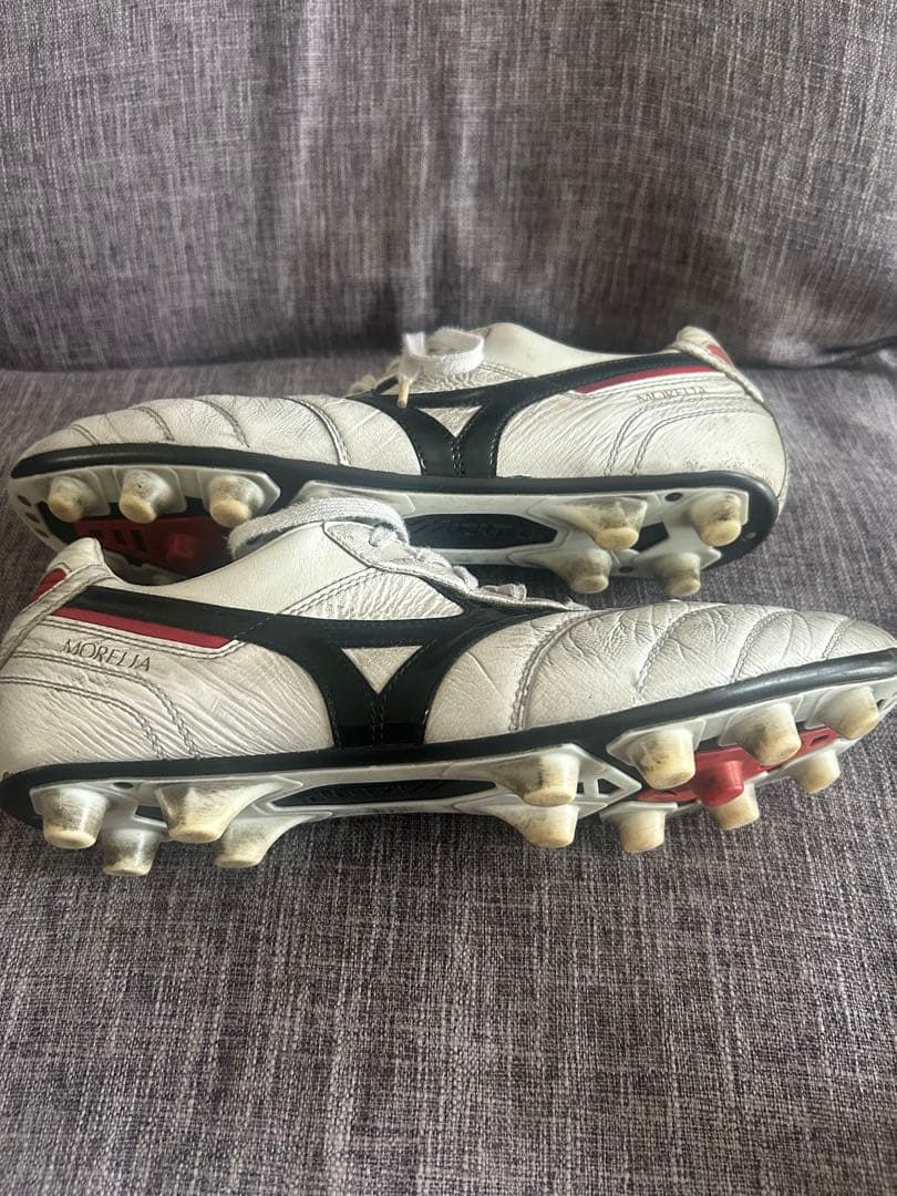 28.5cm モレリア2