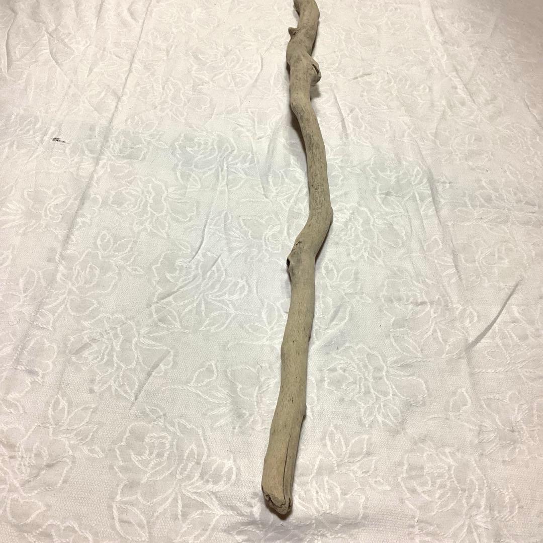 流木約80cm 艶あり美しい